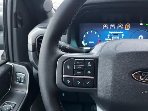 Divers Supercrew LARIAT Black Package V8 5.0L 2025 occasion 91830 Le Coudray-Montceaux