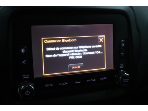 Renegade 1.6 MultiJet 120 Limited 2015 occasion 06550 La Roquette-sur-Siagne