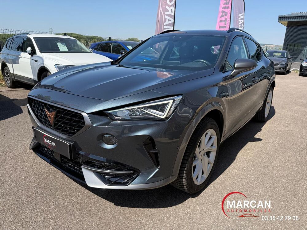 Formentor 2.0 16V TDI - 150 Business Edition 2022 occasion 71880 Ch&acirc;tenoy-le-Royal