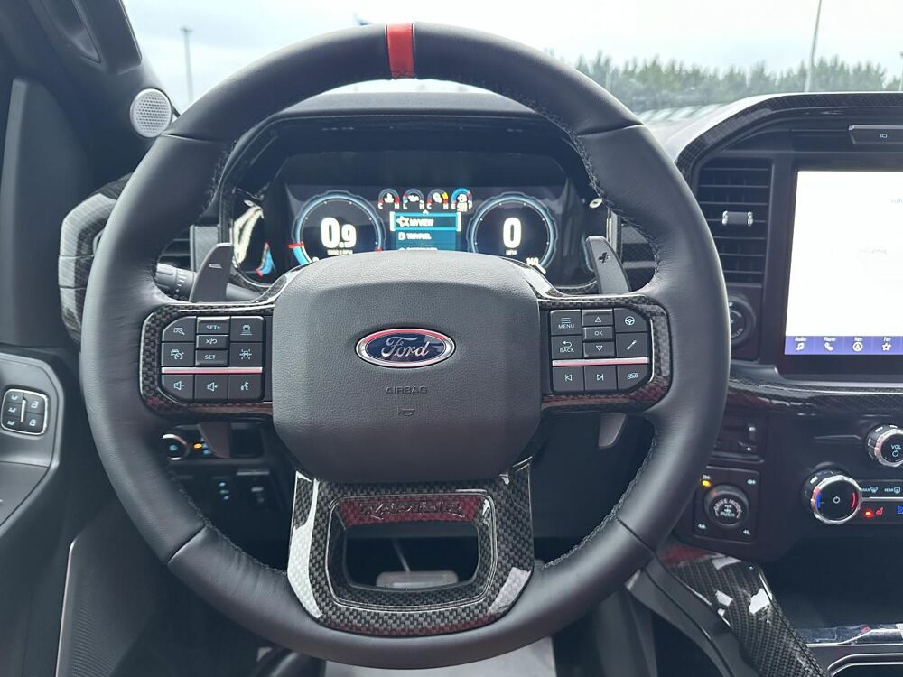 Divers Raptor Shelby Baja 2024 occasion 91830 Le Coudray-Montceaux