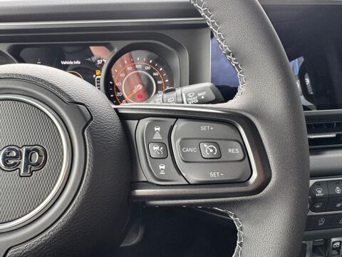Wrangler Rubicon X V6 3,6L WARN WINCH 2026 occasion 91830 Le Coudray-Montceaux