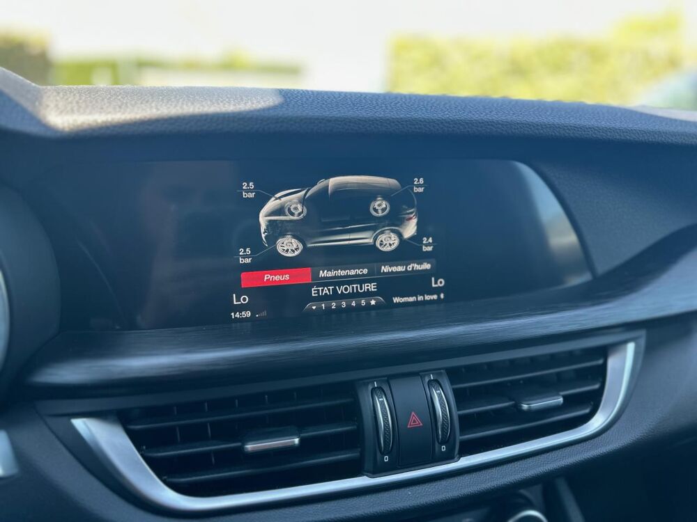 Stelvio BUSINESS 2.2 D - 190CH - BVA - CAM - HAYON ELEC - DNA SELECT 2019 occasion 13760 Saint-Cannat