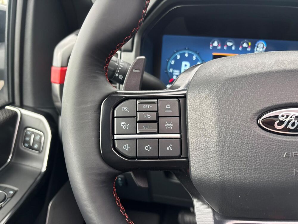 Divers RAPTOR R V8 5.2L supercharged 2026 occasion 91830 Le Coudray-Montceaux