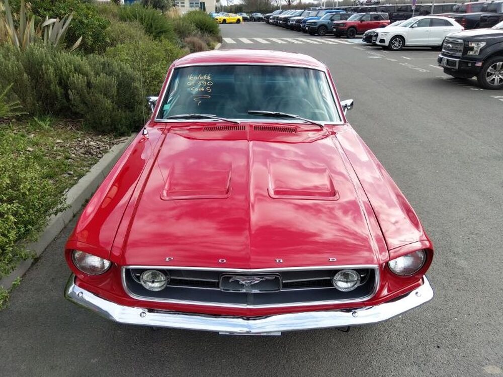Mustang 390 GT FASTBACK 1967 occasion 91830 Le Coudray-Montceaux