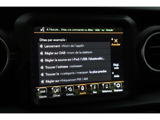 Wrangler 2.0 T 4xe 380 4x4 Unlimited Overland BVA 2022 occasion 06550 La Roquette-sur-Siagne