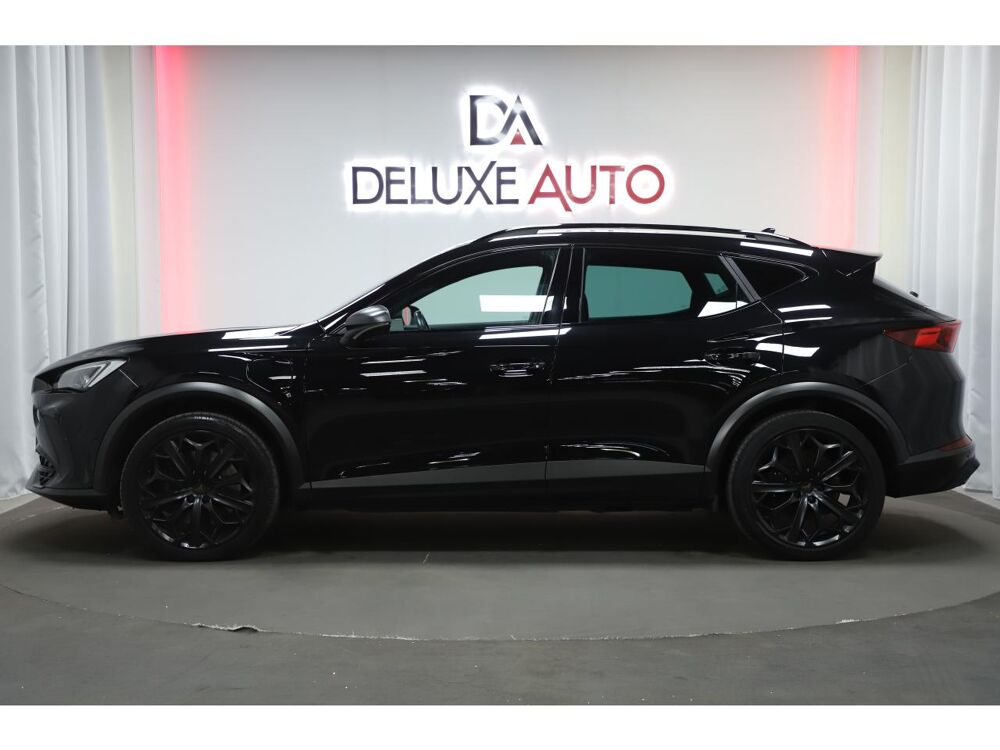 Formentor 1.4 e-Hybrid 245 VZ Tribe Edtion DSG 6 2024 occasion 06550 La Roquette-sur-Siagne