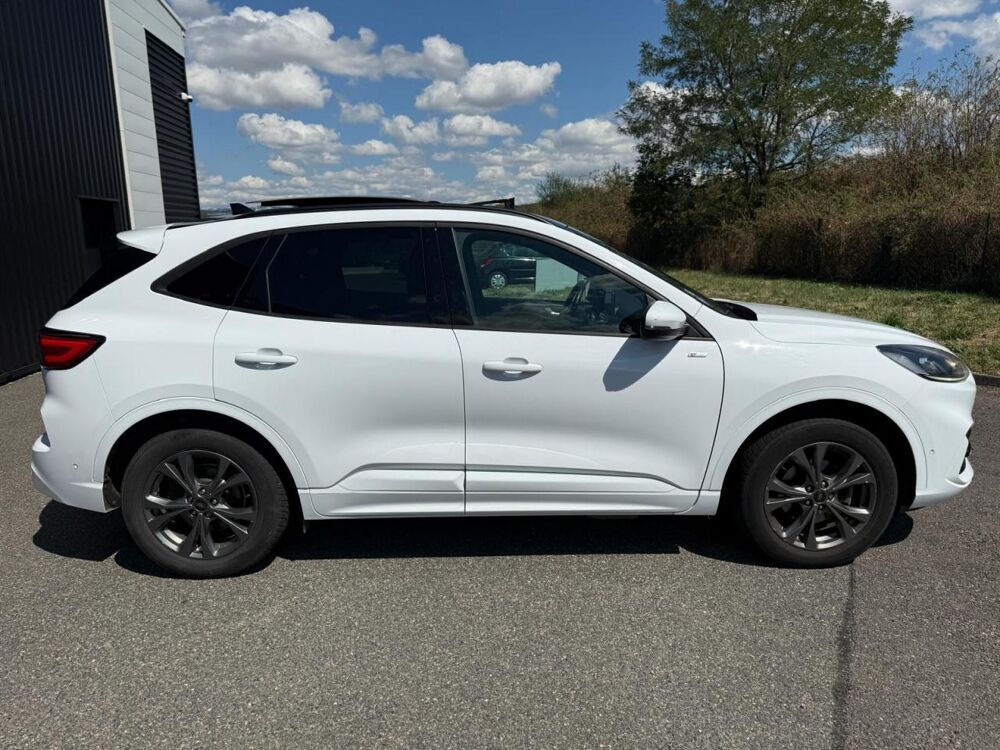 Kuga 2.5 DURATEC 225H 150 HYBRID PHEV 14.4KWH ST-LINE 4X2 BVA 2021 occasion 42170 Saint-Just-Saint-Rambert
