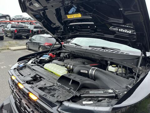 Divers Raptor Shelby Baja 2024 occasion 91830 Le Coudray-Montceaux