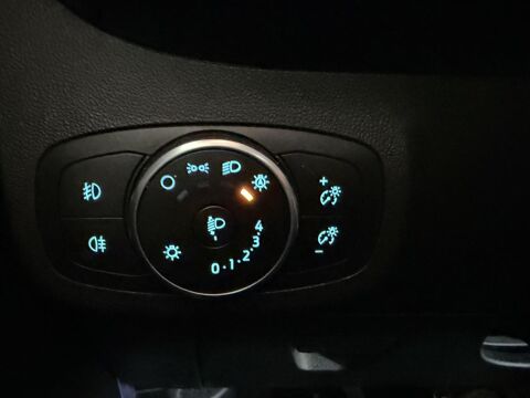 Fiesta 1.0 EcoBoost - 100 BVM ST-Line 2019 occasion 38400 Saint-Martin-d'H&egrave;res