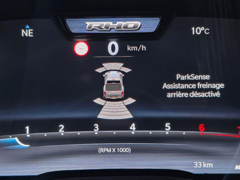 RAM RHO 2025 occasion 91830 Le Coudray-Montceaux