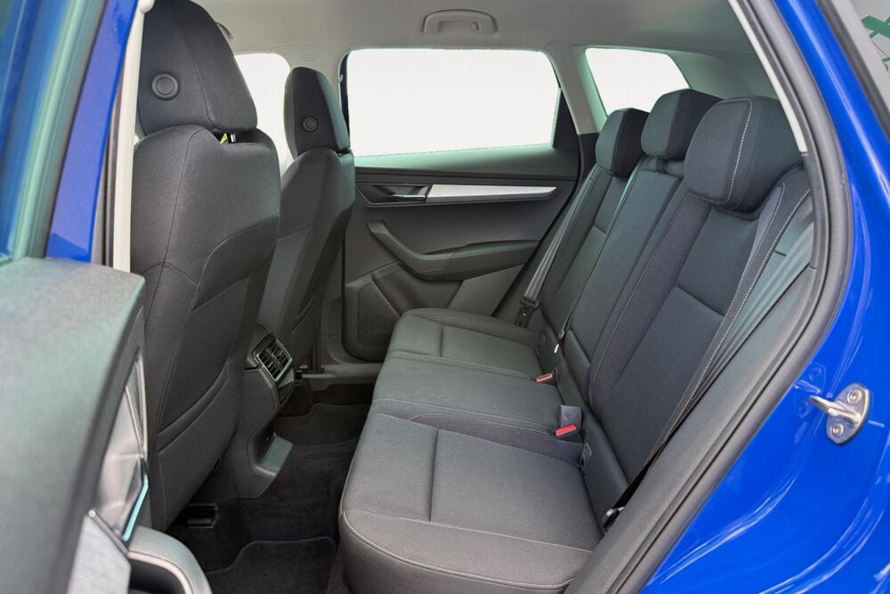 Karoq 2.0 TDI SCR 116 AMBITION DSG7 2023 occasion 38550 Clonas-sur-Var&egrave;ze
