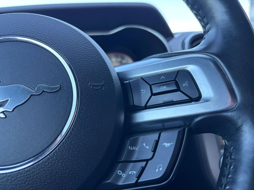 Mustang GT FASTBACK V8 5.0L BVA MAGNERIDE 2019 occasion 91830 Le Coudray-Montceaux