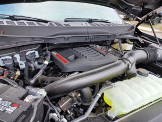Divers RAPTOR SUPERCREW V6 3,5L EcoBoost 2023 occasion 91830 Le Coudray-Montceaux