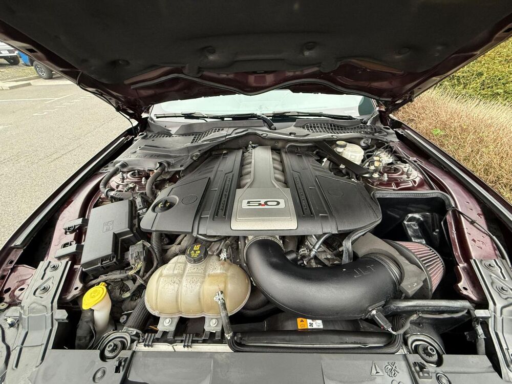 Mustang GT FASTBACK 5.0L V8 450ch BVA10 2018 occasion 91830 Le Coudray-Montceaux