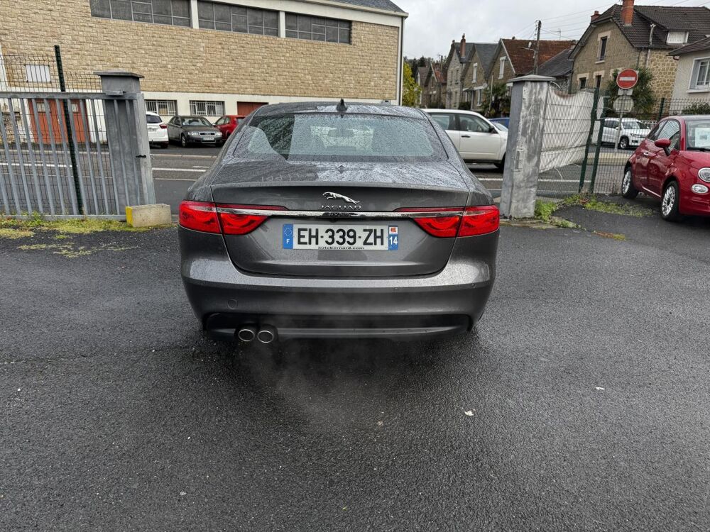 XF 2.0 D - 180 BVA S&S Prestige Gps + Camera AR + Clim 2016 occasion 19100 Brive-la-Gaillarde
