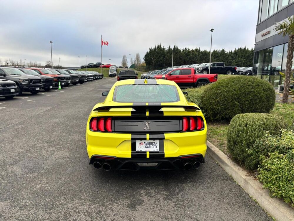 Mustang Shelby GT500 V8 5.2L 760ch 2021 occasion 91830 Le Coudray-Montceaux