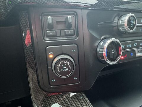 Divers Raptor Shelby Baja 2024 occasion 91830 Le Coudray-Montceaux