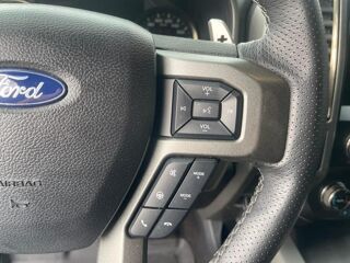 Divers RAPTOR SUPERCREW V6 3.5L ECOBOOST 2020 occasion 91830 Le Coudray-Montceaux