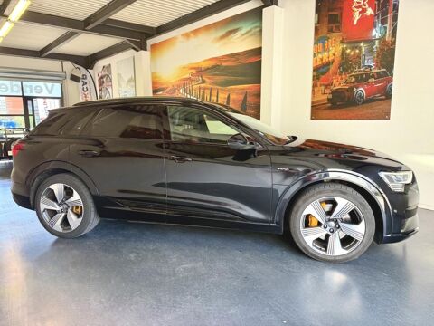 E-TRON E-Quattro 55 - Avus 2019 occasion 38330 Montbonnot-Saint-Martin