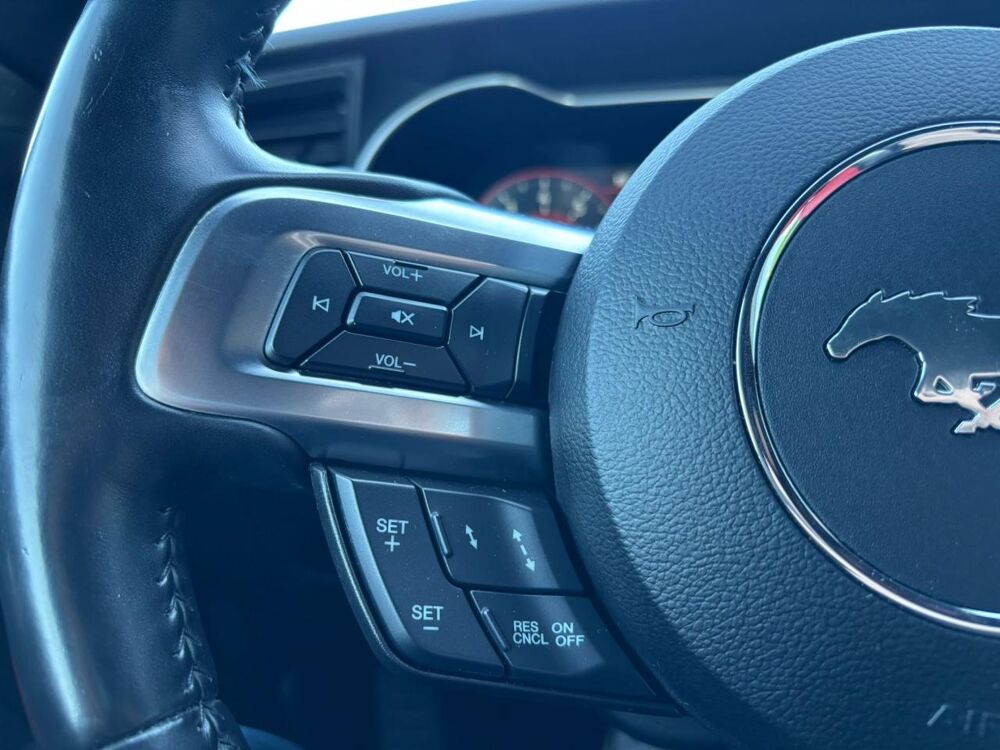 Mustang GT FASTBACK V8 5.0L BVA MAGNERIDE 2019 occasion 91830 Le Coudray-Montceaux