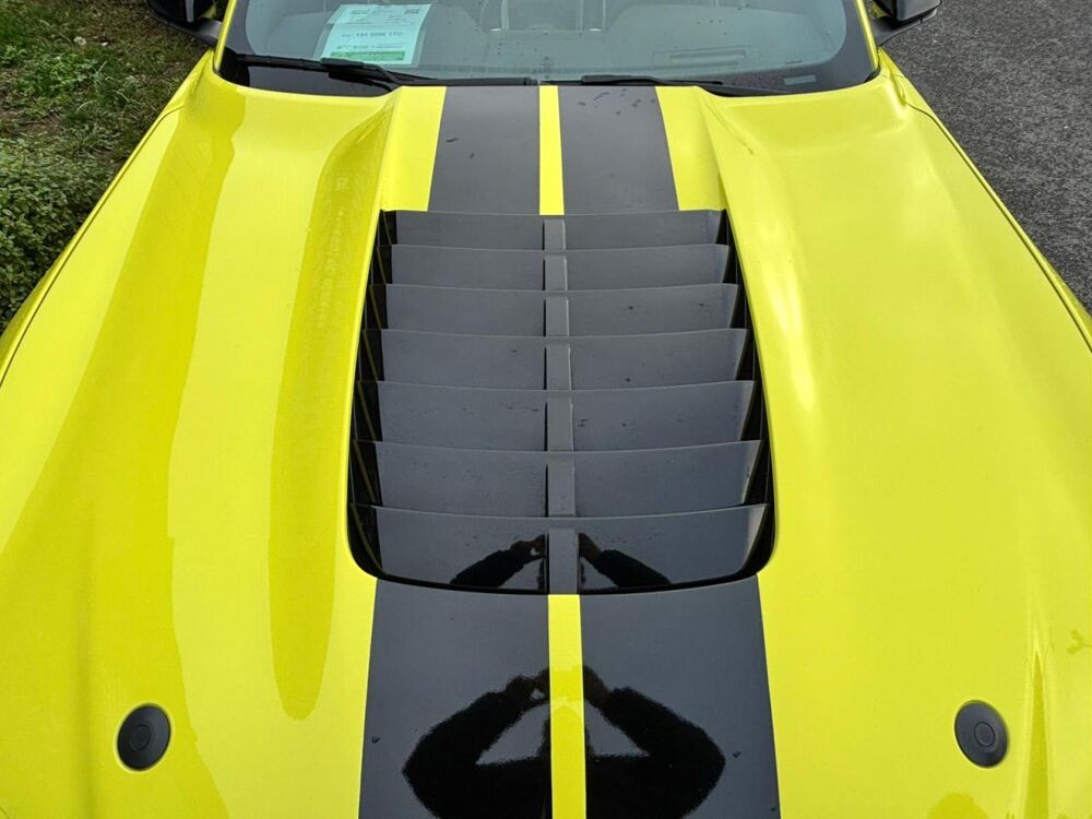 Mustang Shelby GT500 V8 5.2L 760ch 2021 occasion 91830 Le Coudray-Montceaux