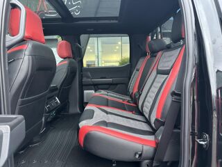 Divers Raptor Shelby Baja 2024 occasion 91830 Le Coudray-Montceaux