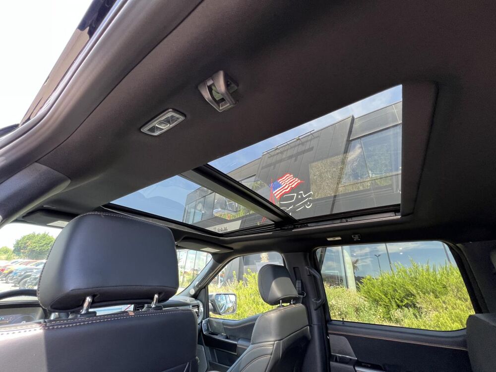 Divers Supercrew PLATINUM 4x4 2021 occasion 91830 Le Coudray-Montceaux