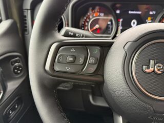 Wrangler Rubicon X V6 3,6L WARN WINCH 2026 occasion 91830 Le Coudray-Montceaux