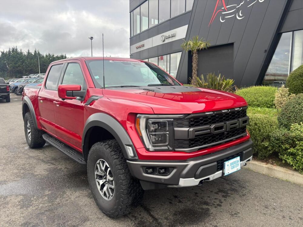 Divers RAPTOR Supercrew V6 bi-turbo 3.5L 450hp 2021 occasion 91830 Le Coudray-Montceaux