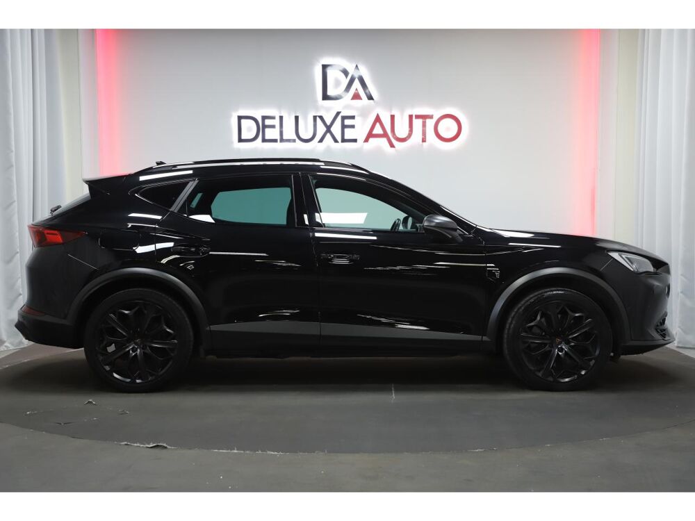 Formentor 1.4 e-Hybrid 245 VZ Tribe Edtion DSG 6 2024 occasion 06550 La Roquette-sur-Siagne