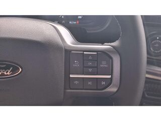 Divers Supercrew LARIAT Black Package V8 5.0L 2025 occasion 91830 Le Coudray-Montceaux
