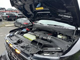 Divers Raptor Shelby Baja 2024 occasion 91830 Le Coudray-Montceaux