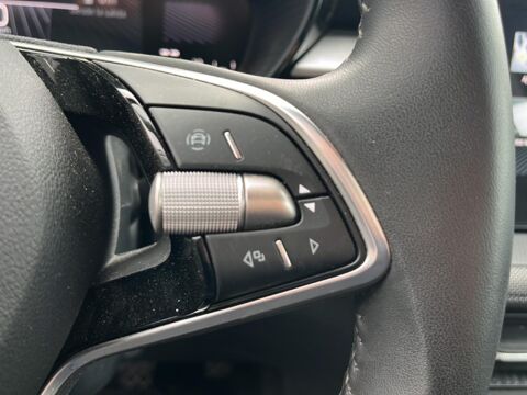 Fabia 1.0 tsi evo2 95 selection 2025 occasion 85150 Les Achards