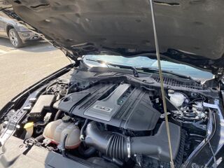 Mustang GT FASTBACK 5.0L V8 BVM CARBON PACK - PAS DE MALUS 2019 occasion 91830 Le Coudray-Montceaux