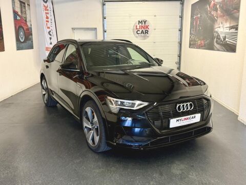 Audi E-TRON E-Quattro 55 - Avus 2019 occasion Montbonnot-Saint-Martin 38330