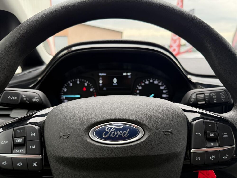 Fiesta 1.0 EcoBoost - 95 S&S Connect Business Nav 2020 occasion 71880 Ch&acirc;tenoy-le-Royal