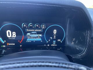 Divers SHELBY OFFROAD V8 5.0L SUPERCHARGED 2021 occasion 91830 Le Coudray-Montceaux