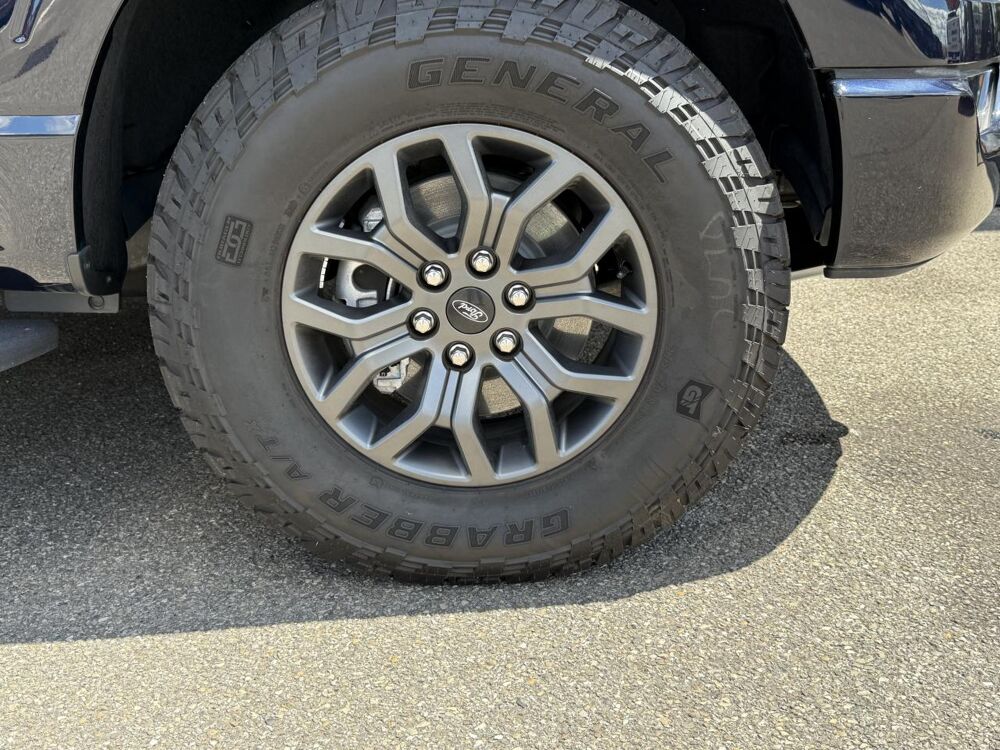 Divers SUPERCREW TREMOR 4x4 2022 occasion 91830 Le Coudray-Montceaux