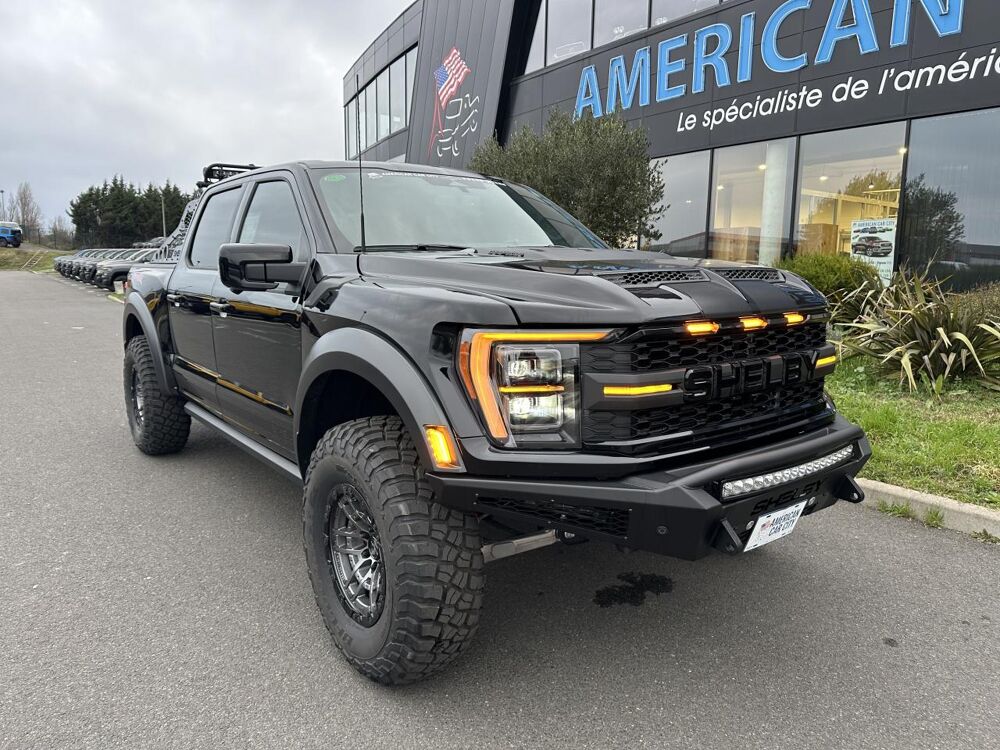 Divers Raptor Shelby Baja 2024 occasion 91830 Le Coudray-Montceaux