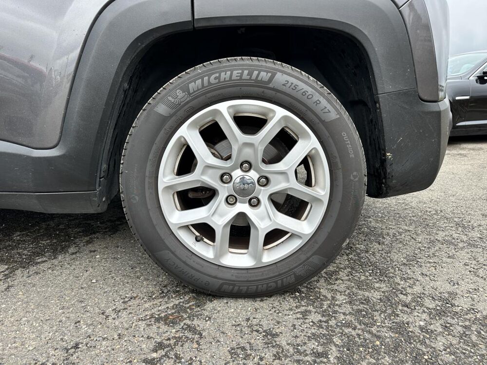 Renegade 1.6 MultiJet 120 CH Longitude Business - GARANTIE 12 MOIS 2018 occasion 33450 Montussan