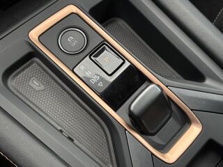 Formentor NV 2.0 TDI 150 DSG - Garantie CUPRA 04/2030 2025 occasion 35300 Foug&egrave;res
