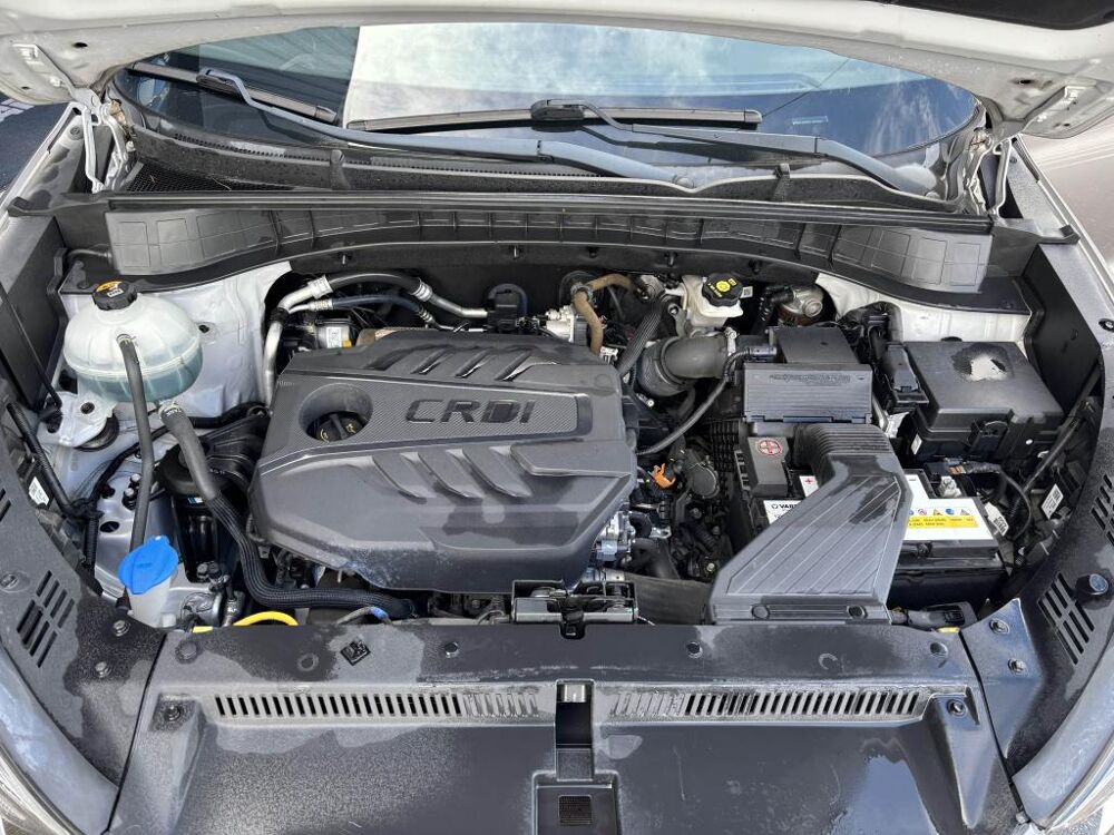 Tucson 1.6 CRDi - 136 - BV DCT-7 S&S Creative 2019 occasion 47200 Saint-Pardoux-du-Breuil