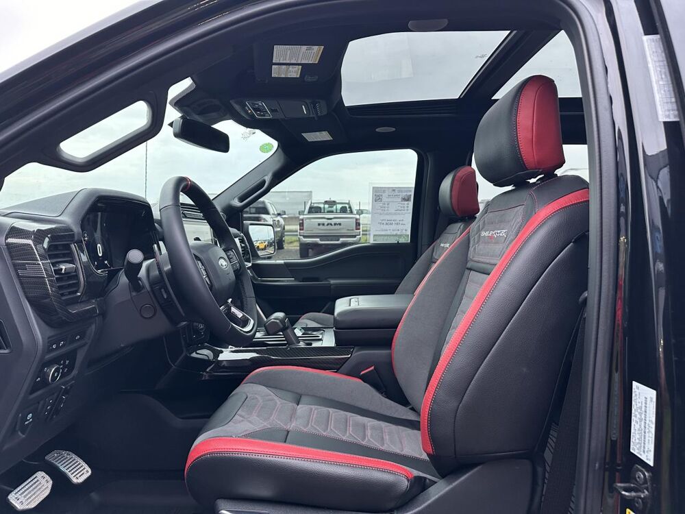 Divers Raptor Shelby Baja 2024 occasion 91830 Le Coudray-Montceaux