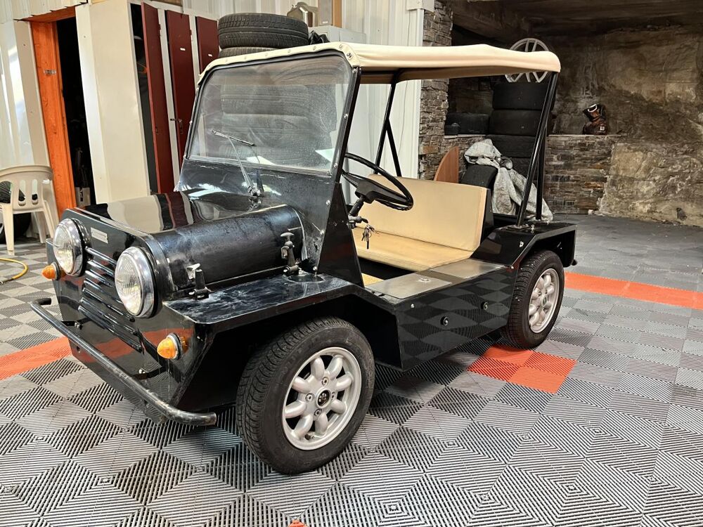 Mini SCHMITTY SANS PERMIS 1981 occasion 83490 Le Muy