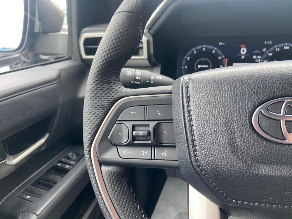 Divers 4X4 Double Cab Hybrid Trailhunter 2025 occasion 91830 Le Coudray-Montceaux