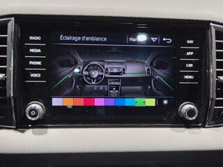 Karoq 2.0 TDI SCR - 150 - 4x4 Sportline - Toit ouvrant 2019 occasion 25300 Pontarlier
