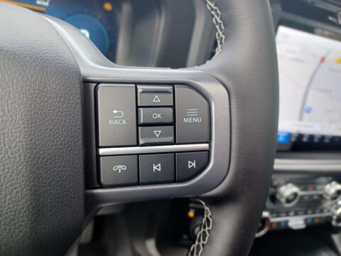 Divers Supercrew LARIAT Black Package V8 5.0L 2025 occasion 91830 Le Coudray-Montceaux