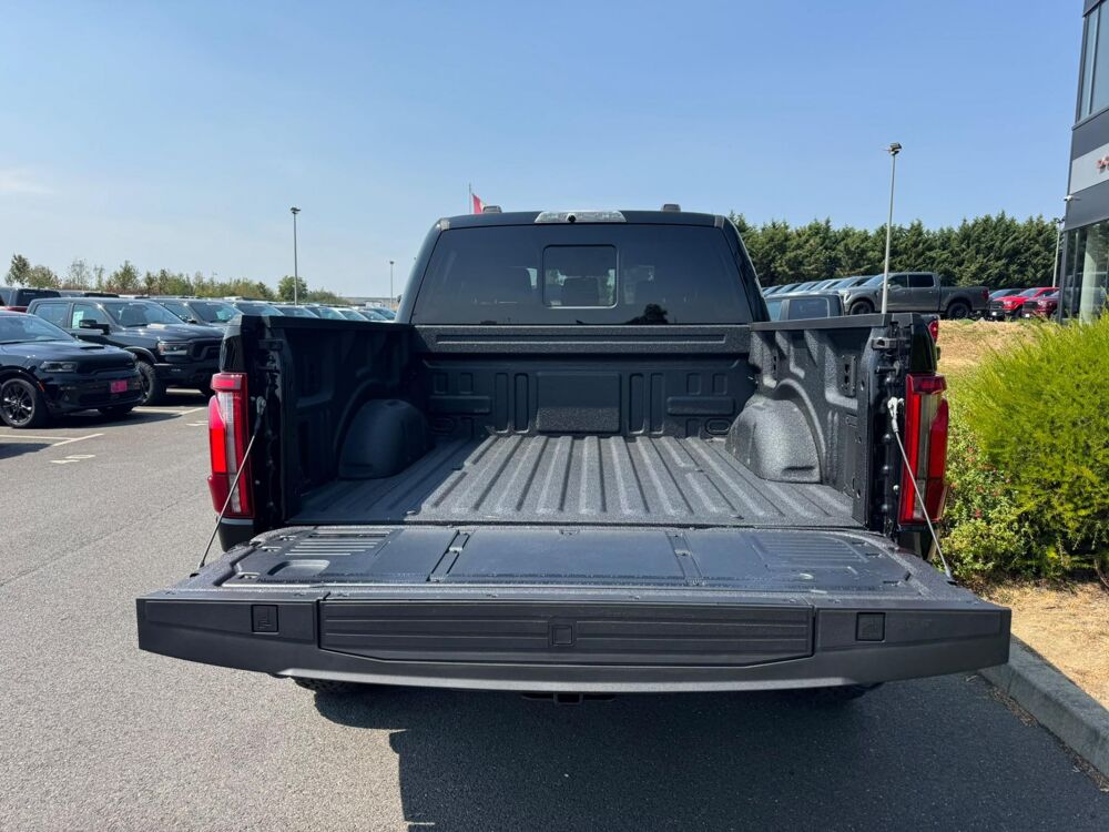 Divers RAPTOR R V8 5.2L supercharged 2026 occasion 91830 Le Coudray-Montceaux