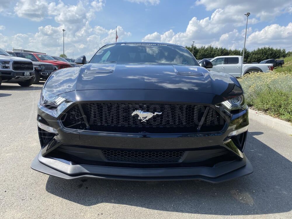 Mustang GT FASTBACK 5.0L V8 BVM CARBON PACK - PAS DE MALUS 2019 occasion 91830 Le Coudray-Montceaux