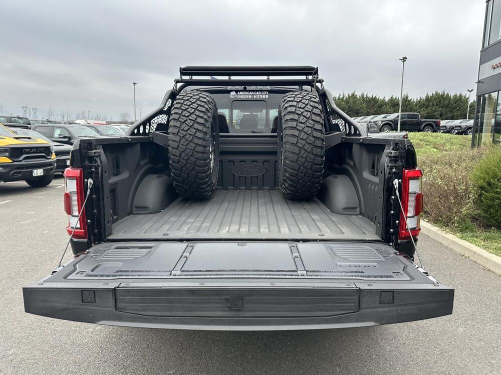 Divers Raptor Shelby Baja 2024 occasion 91830 Le Coudray-Montceaux